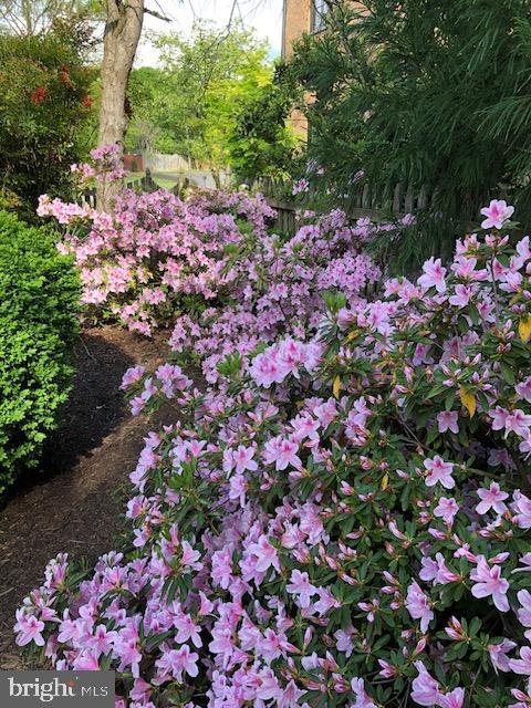 MT VERNON ON THE POTOMAC - Residential