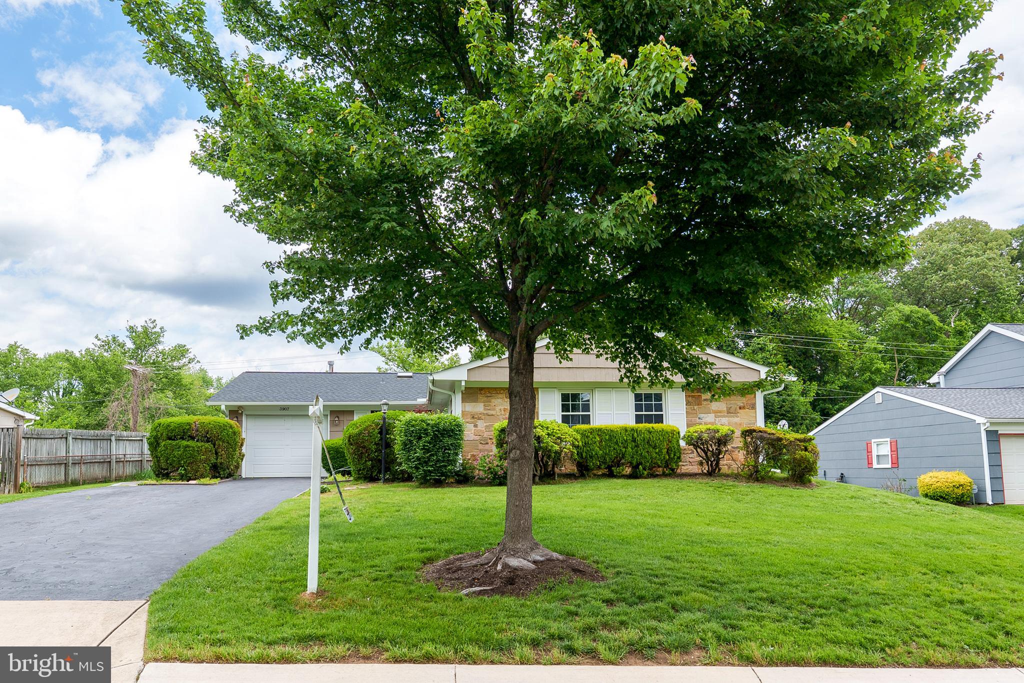 WHITEHALL AT BELAIR - Residential