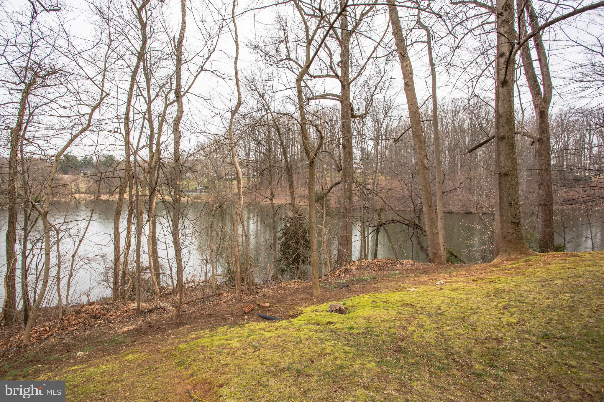 POTOMAC FALLS - Residential