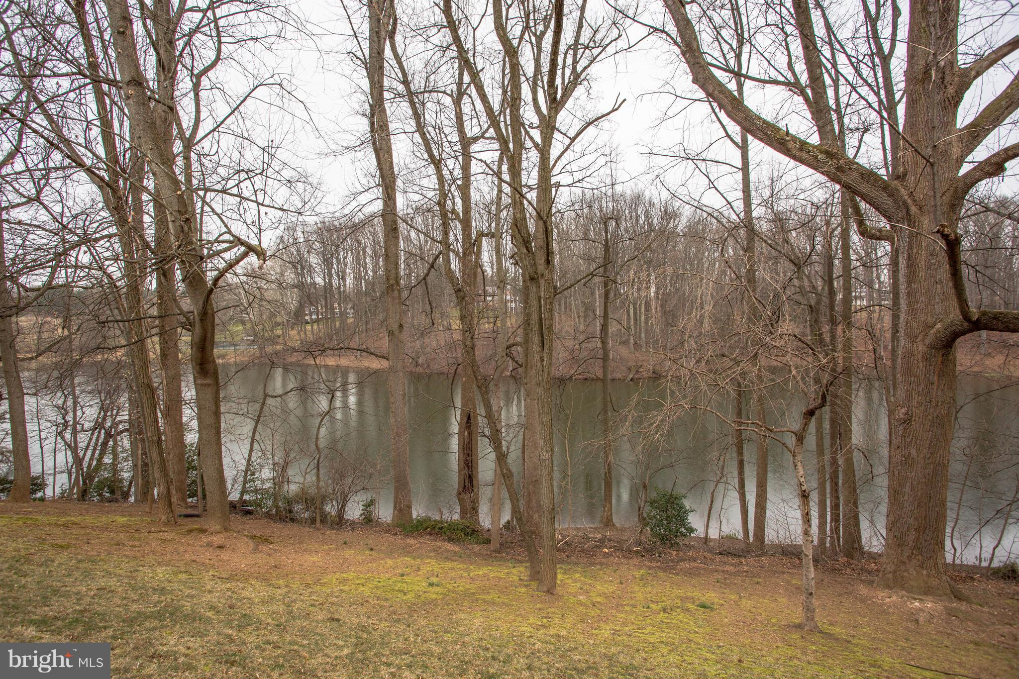 POTOMAC FALLS - Residential