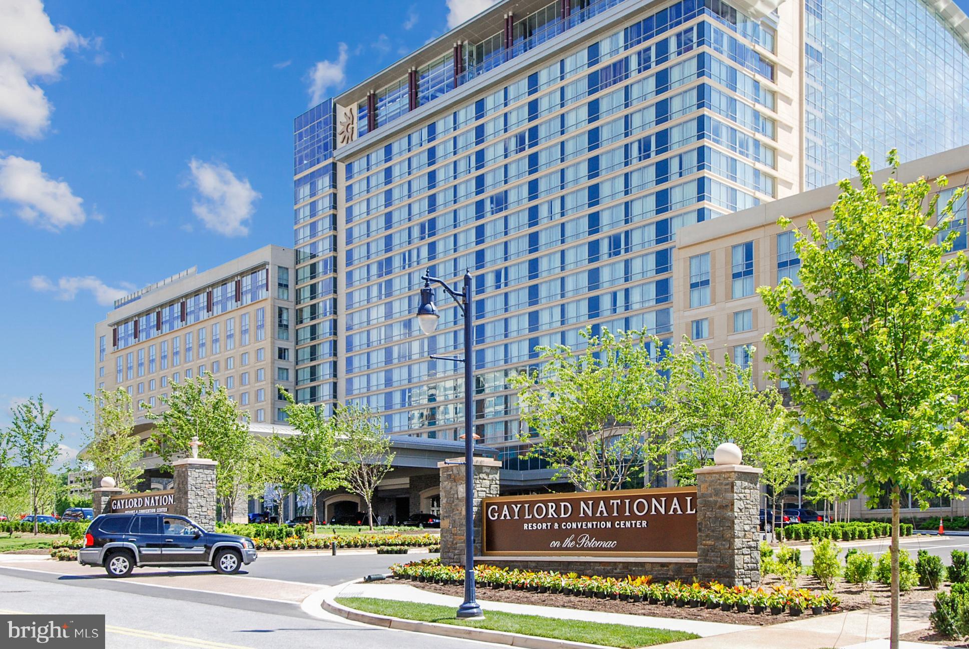 MORNINGSIDE - Residential Lease