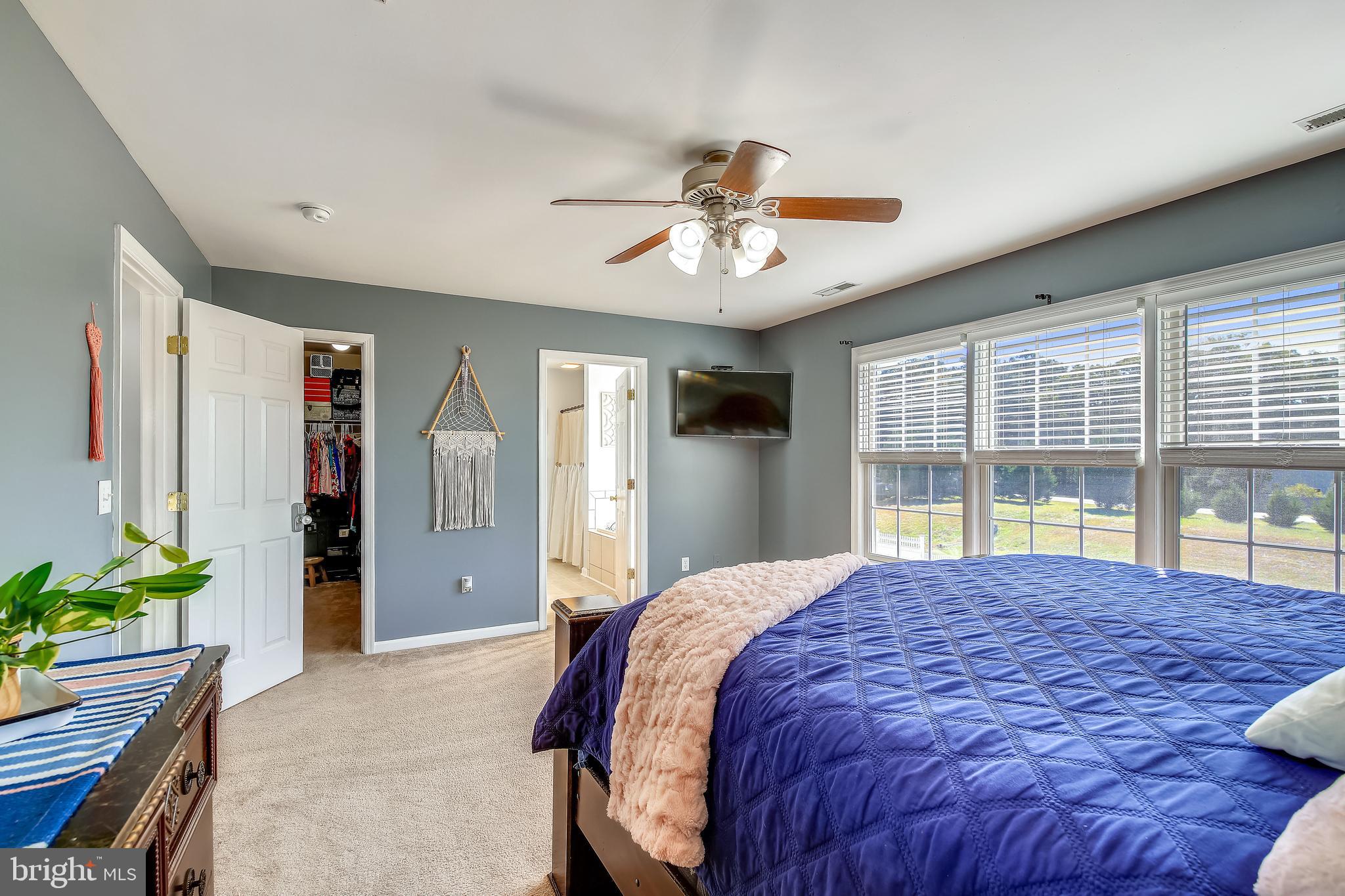 MOCKING BIRD - Residential