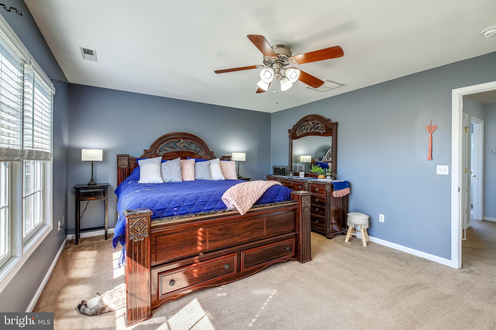 MOCKING BIRD - Residential