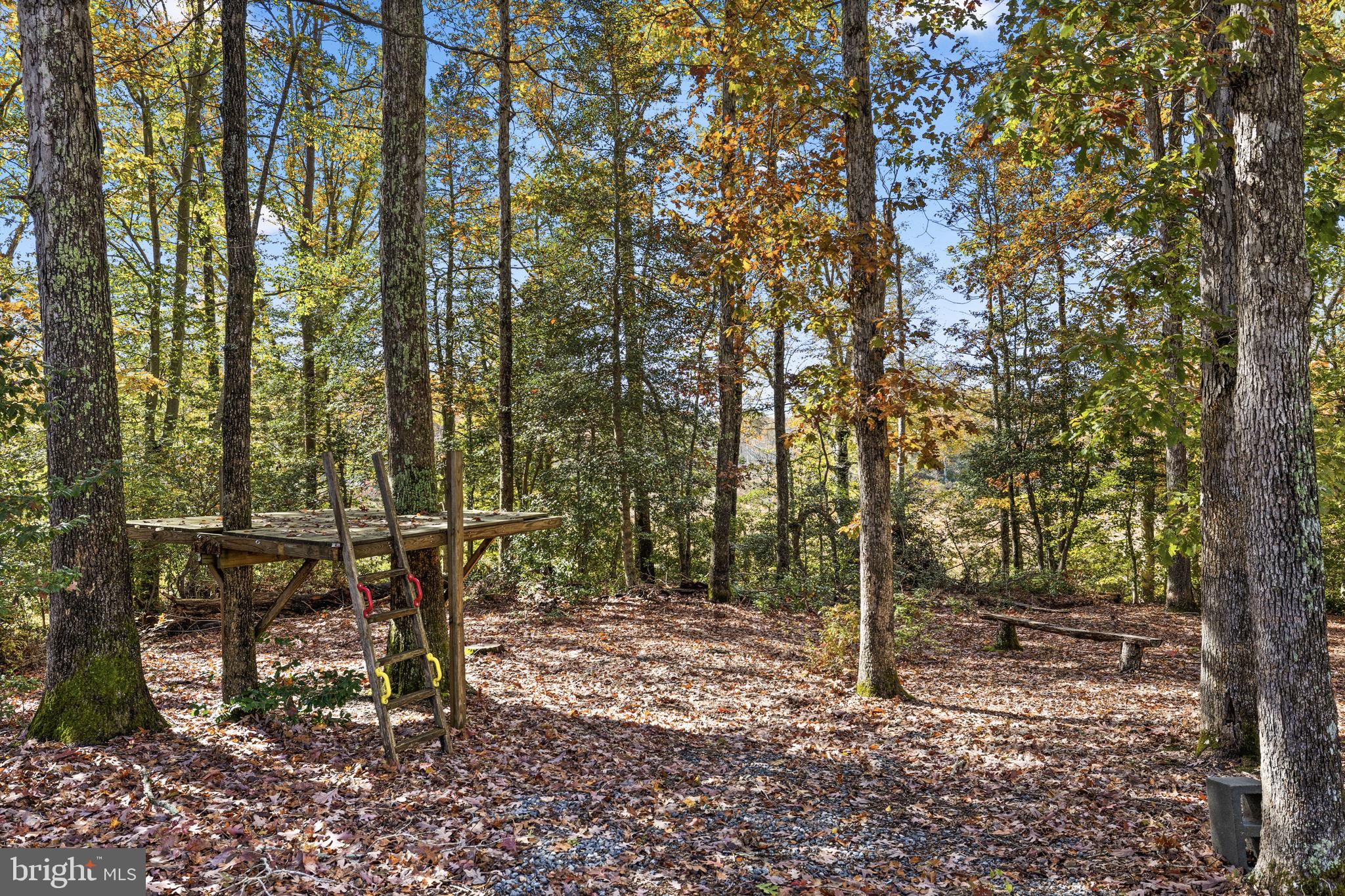 SUMMERFIELD - Residential