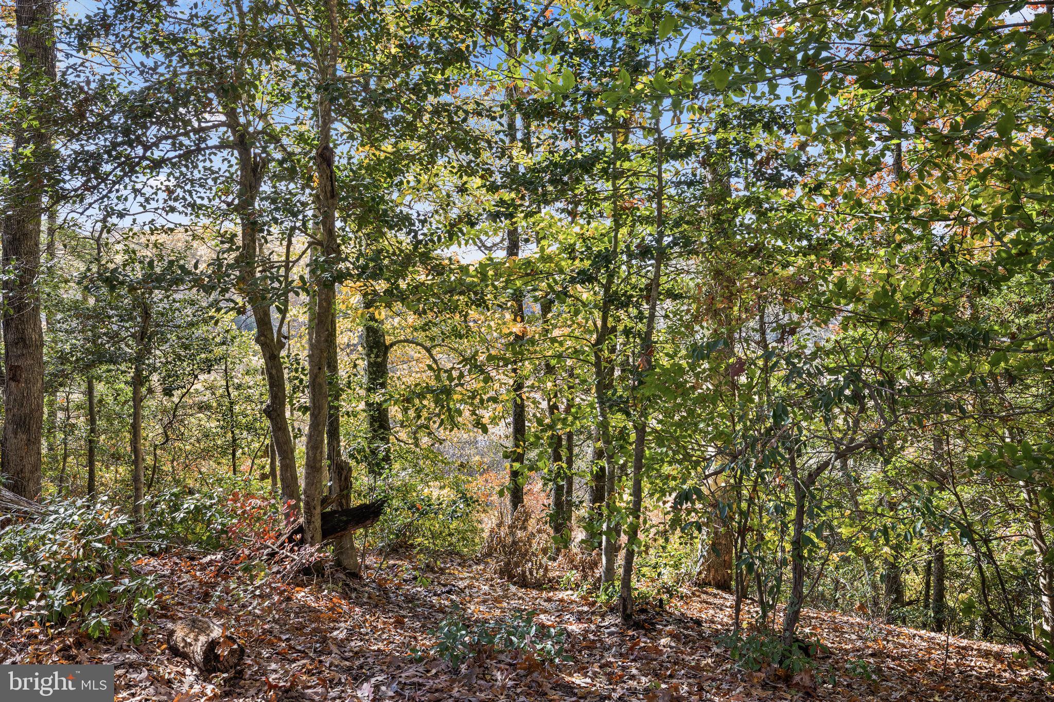 SUMMERFIELD - Residential