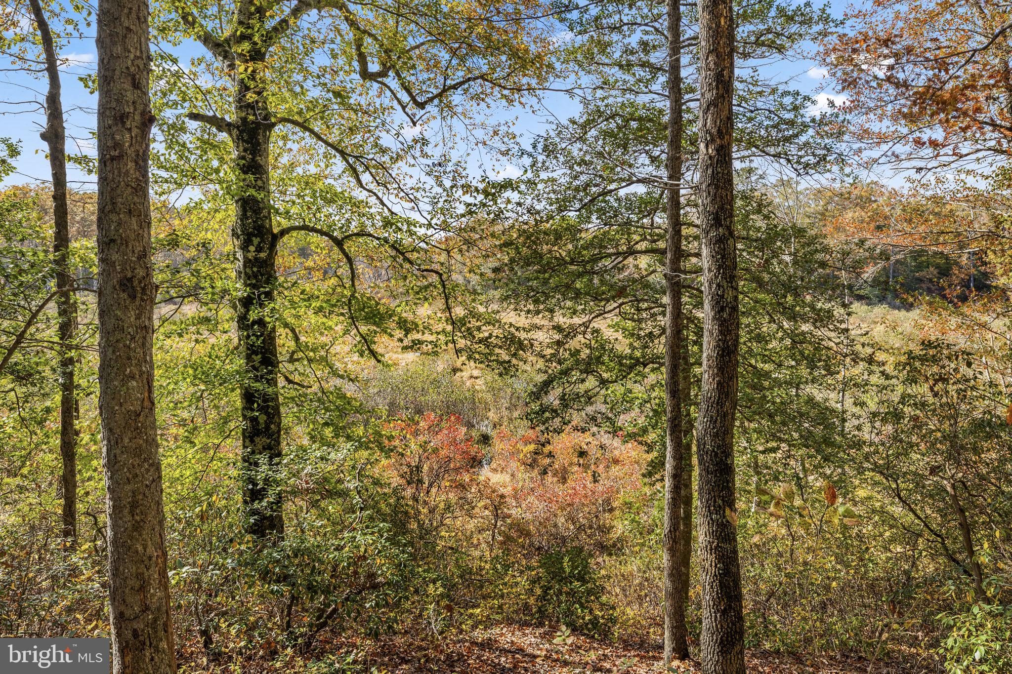 SUMMERFIELD - Residential