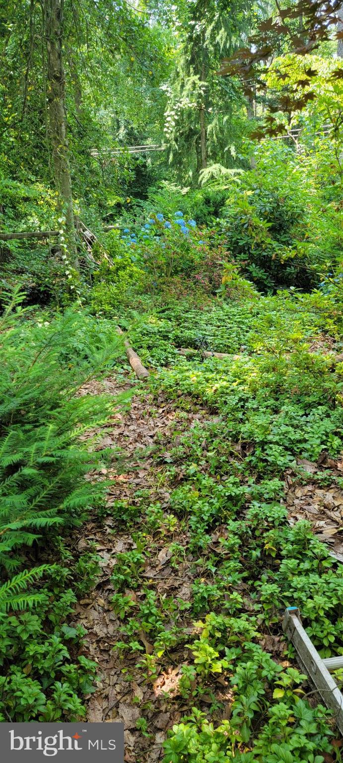 SUNRISE BEACH - Residential