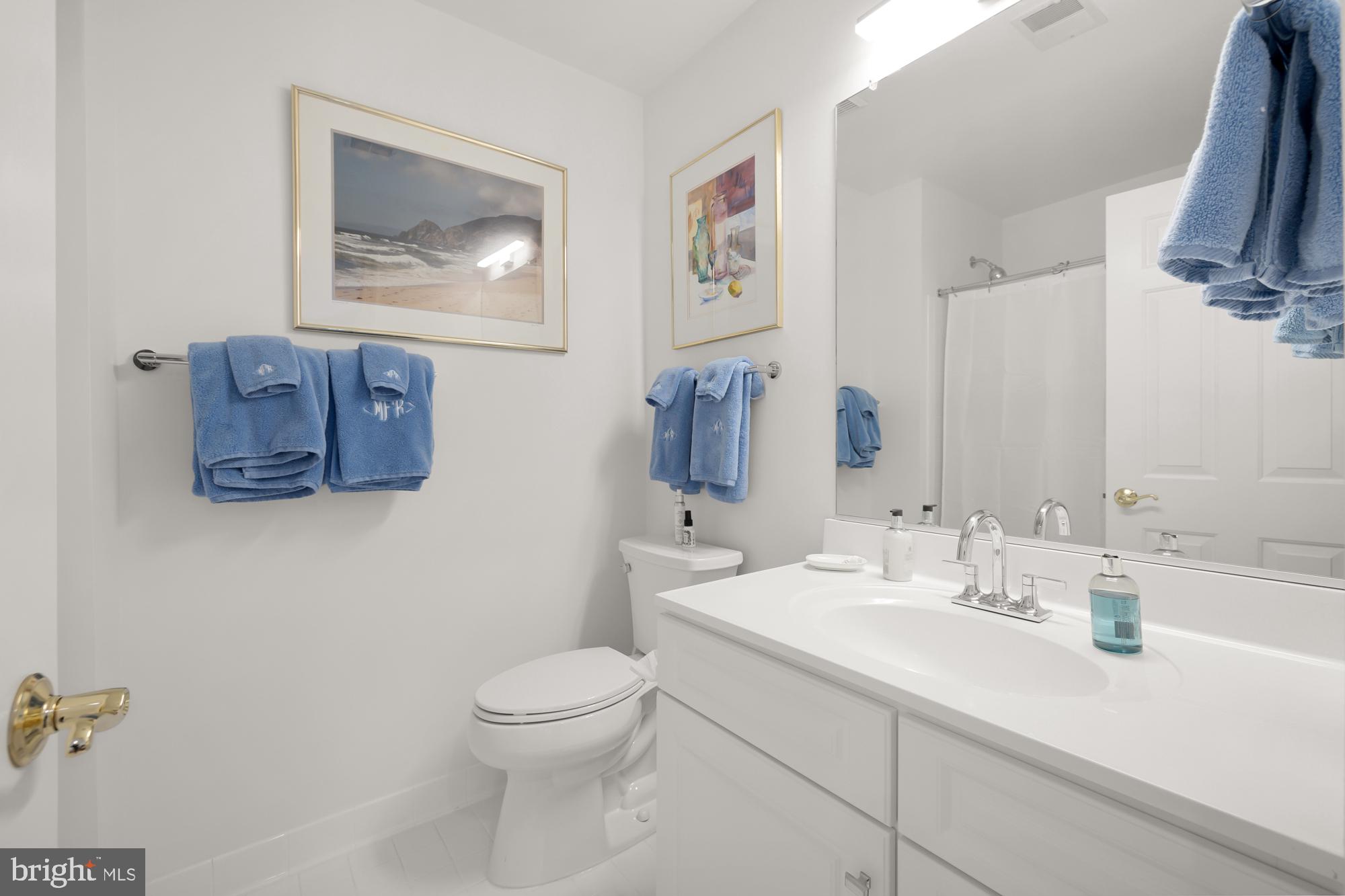 CHEVY CHASE MEWS - Residential