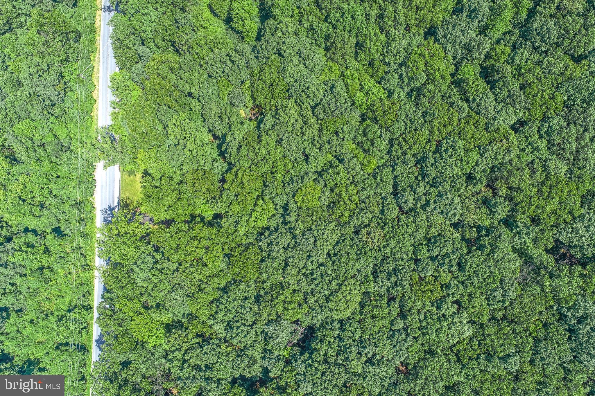 HERITAGE WOODS - Land