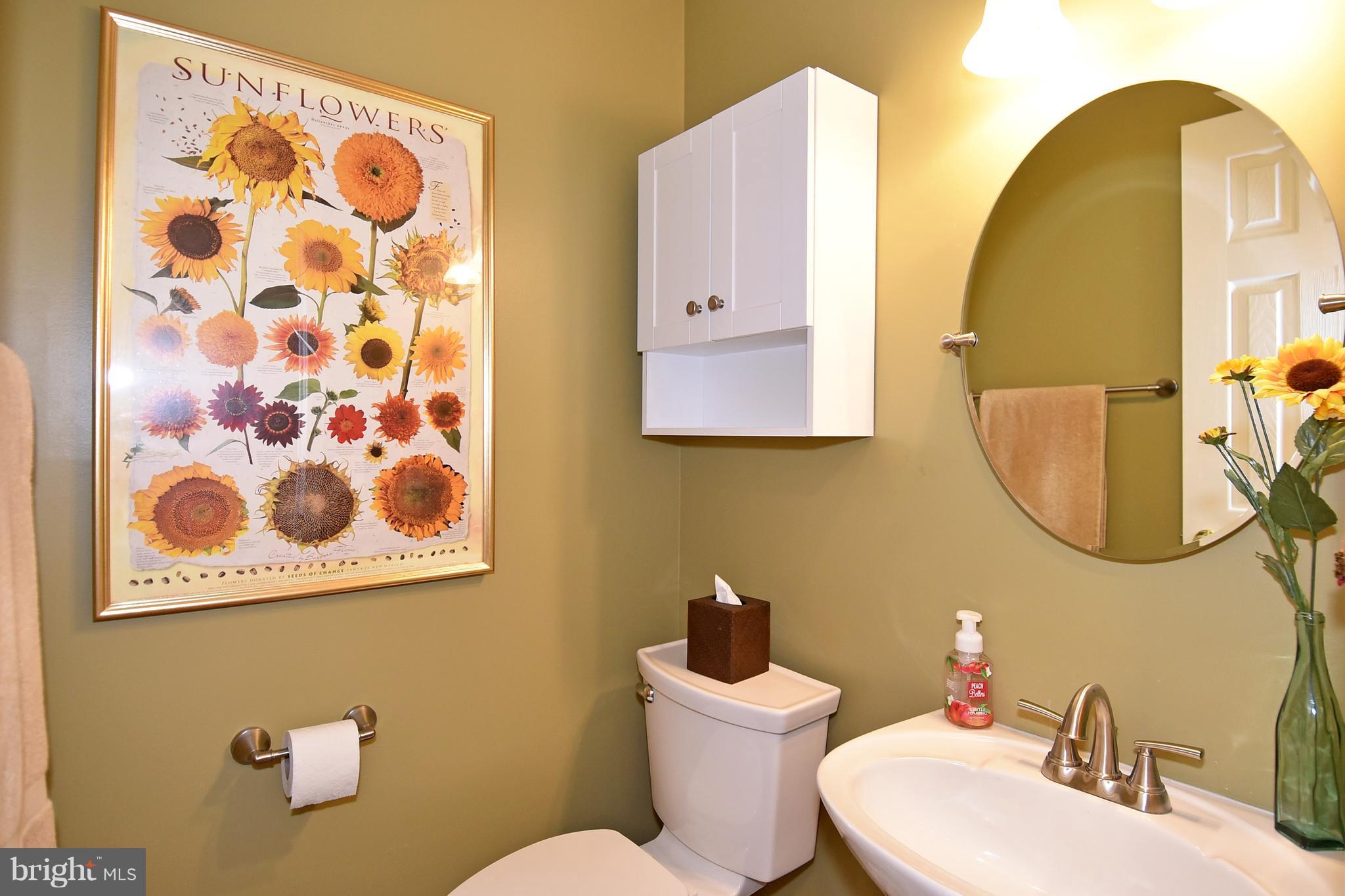 ISLAND CREEK - Residential