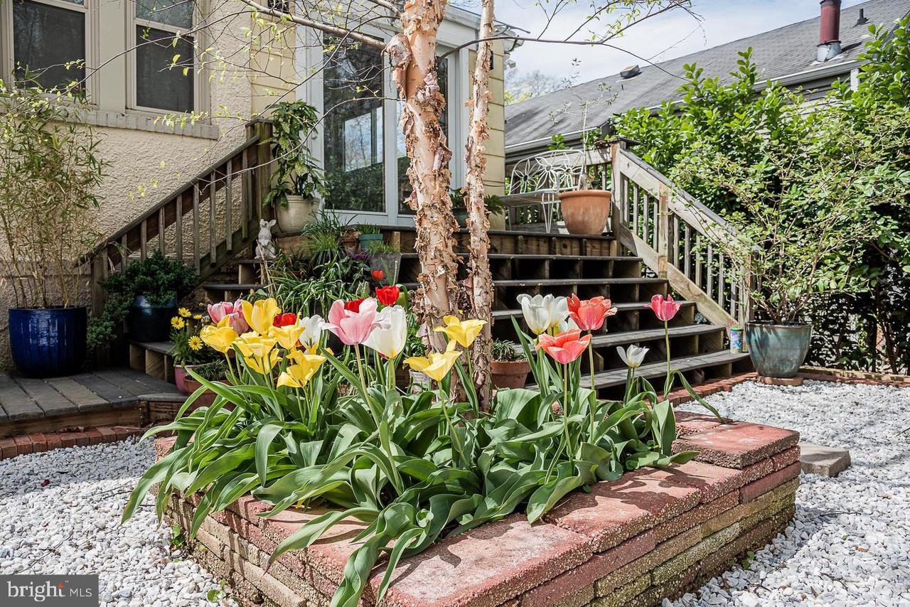 MOUNT WASHINGTON - Residential