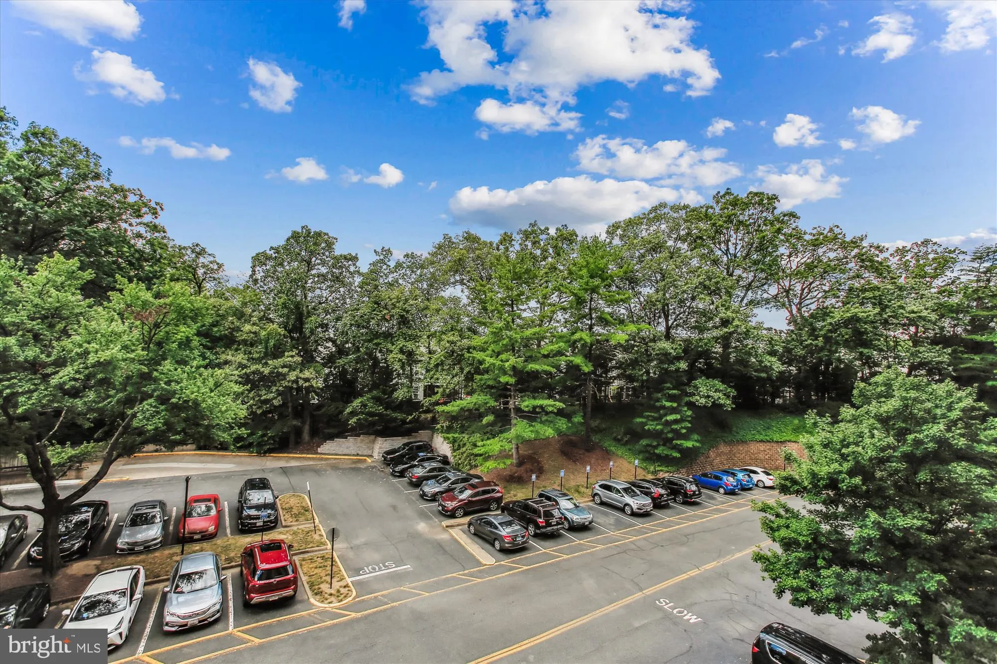 Alexandria, Virginia 22304, United States, 2 Bedrooms Bedrooms, ,2 BathroomsBathrooms,Residential,Active,198100