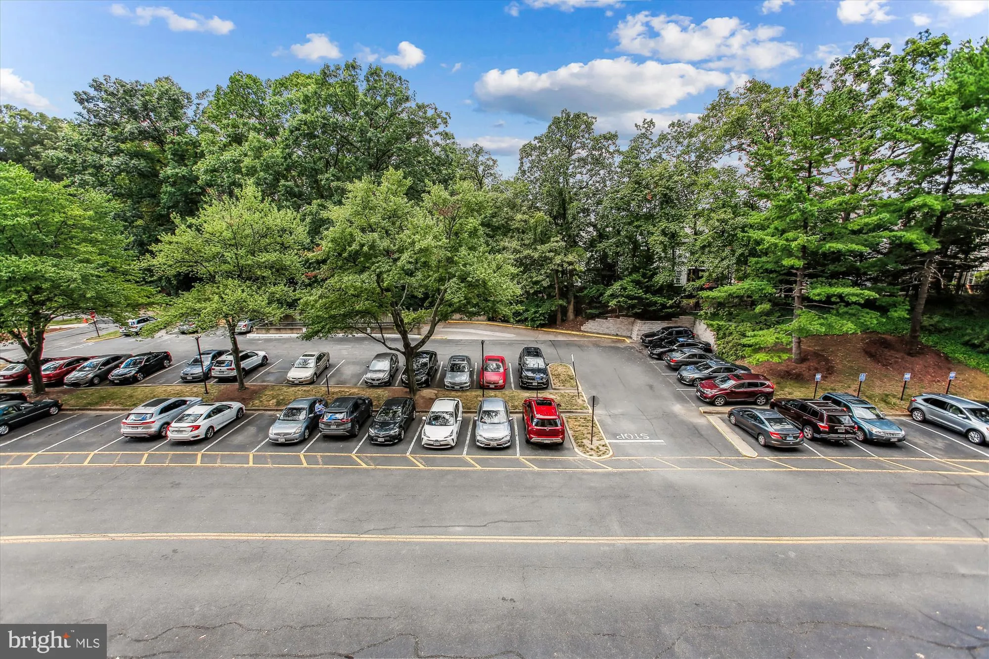 Alexandria, Virginia 22304, United States, 2 Bedrooms Bedrooms, ,2 BathroomsBathrooms,Residential,Active,198100