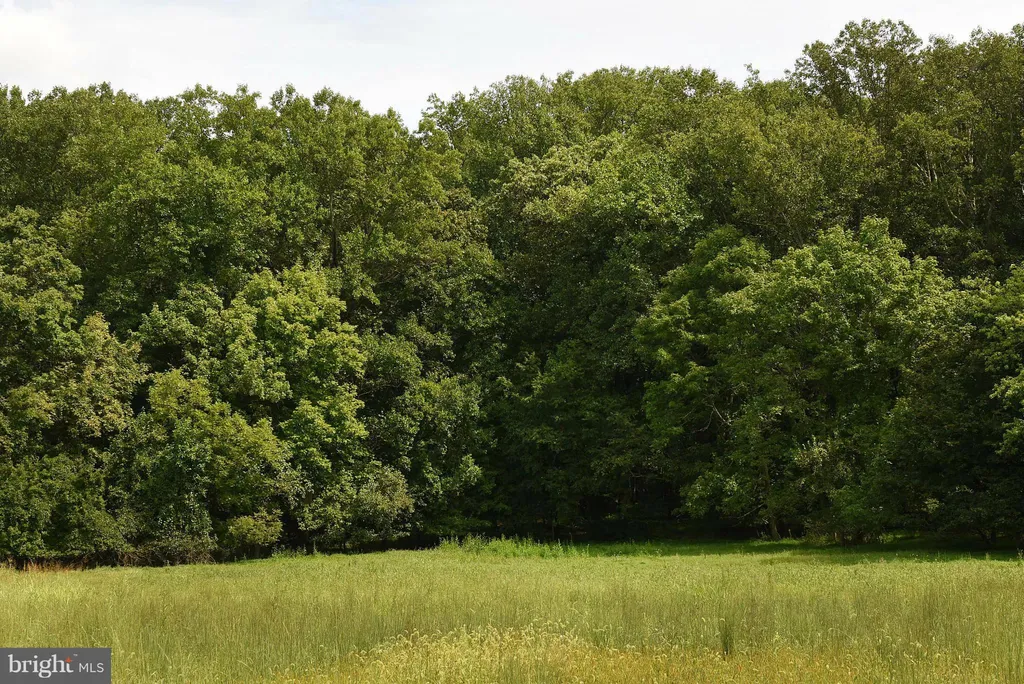 12227 Dover Road, Owings Mills, MD 21117