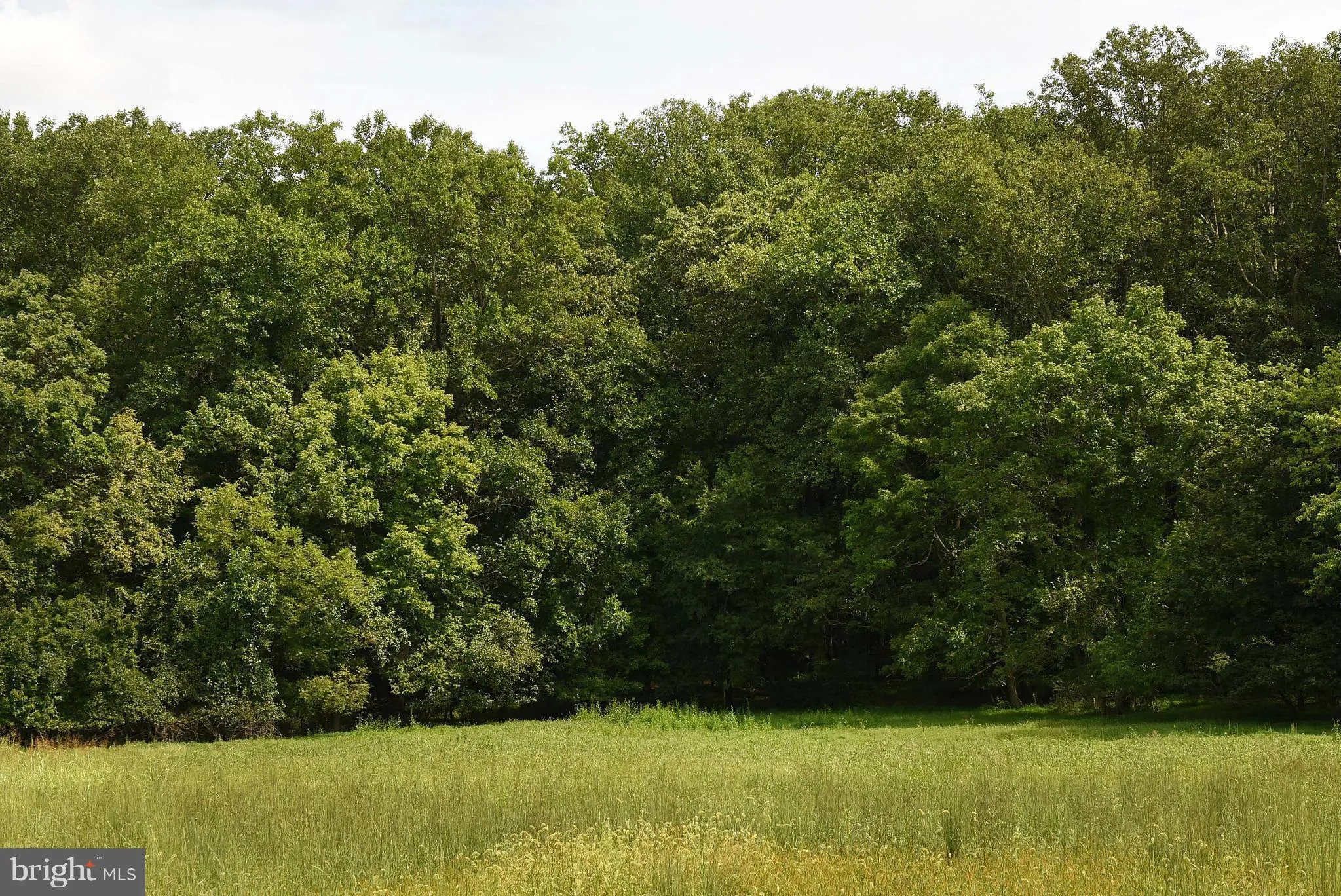 Additional image 2 of 12227 Dover Road, Owings Mills, MD 21117