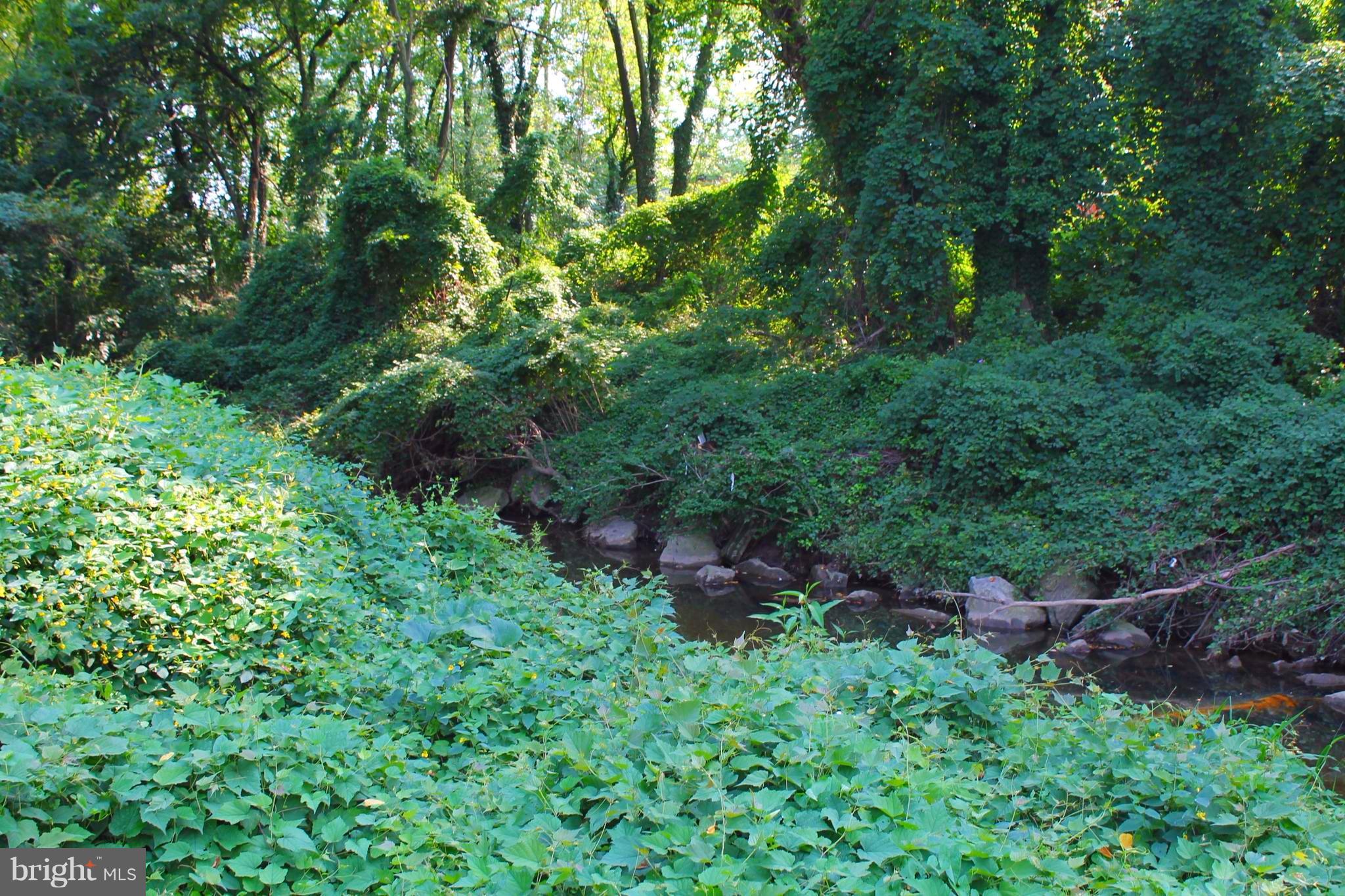 WEST HALETHORPE - Residential