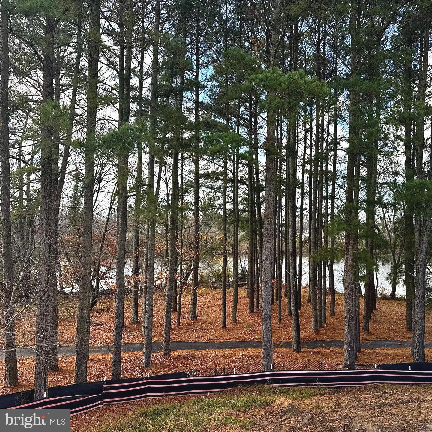 RIVER MARSH - Residential