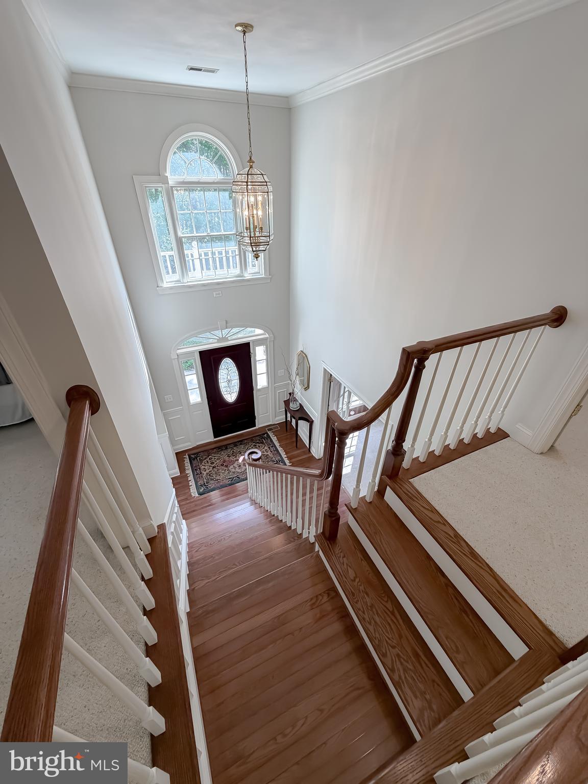 CHESTNUT HILLS - Residential