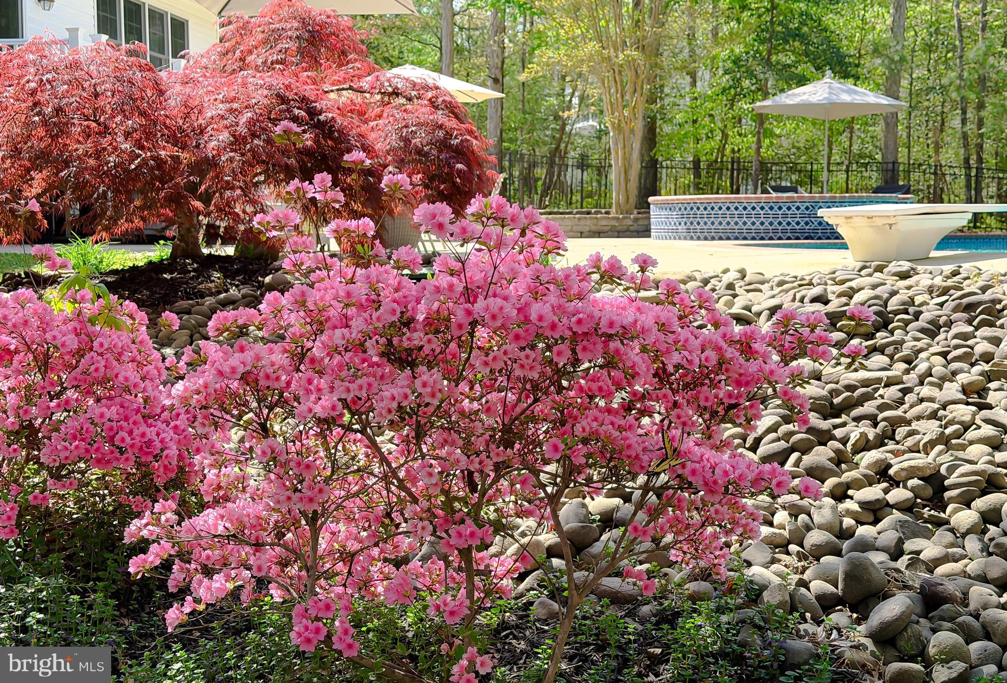 CHESTNUT HILLS - Residential