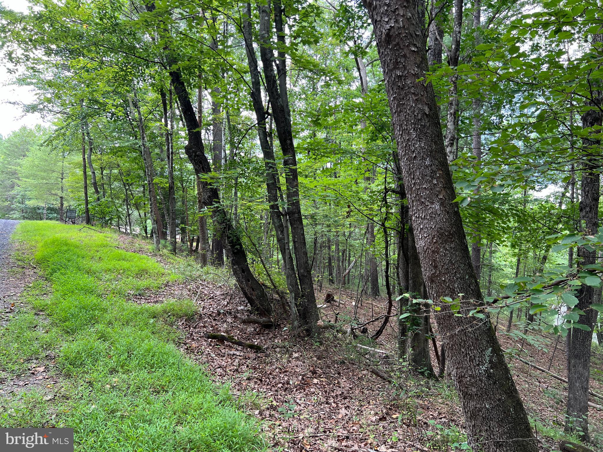 0 FAWN DRIVE