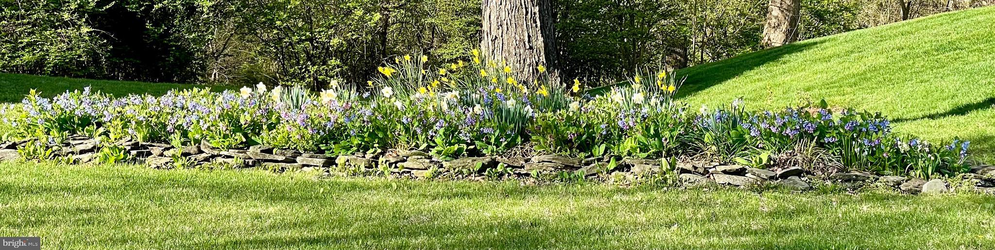 DRANESVILLE ESTATES - Residential