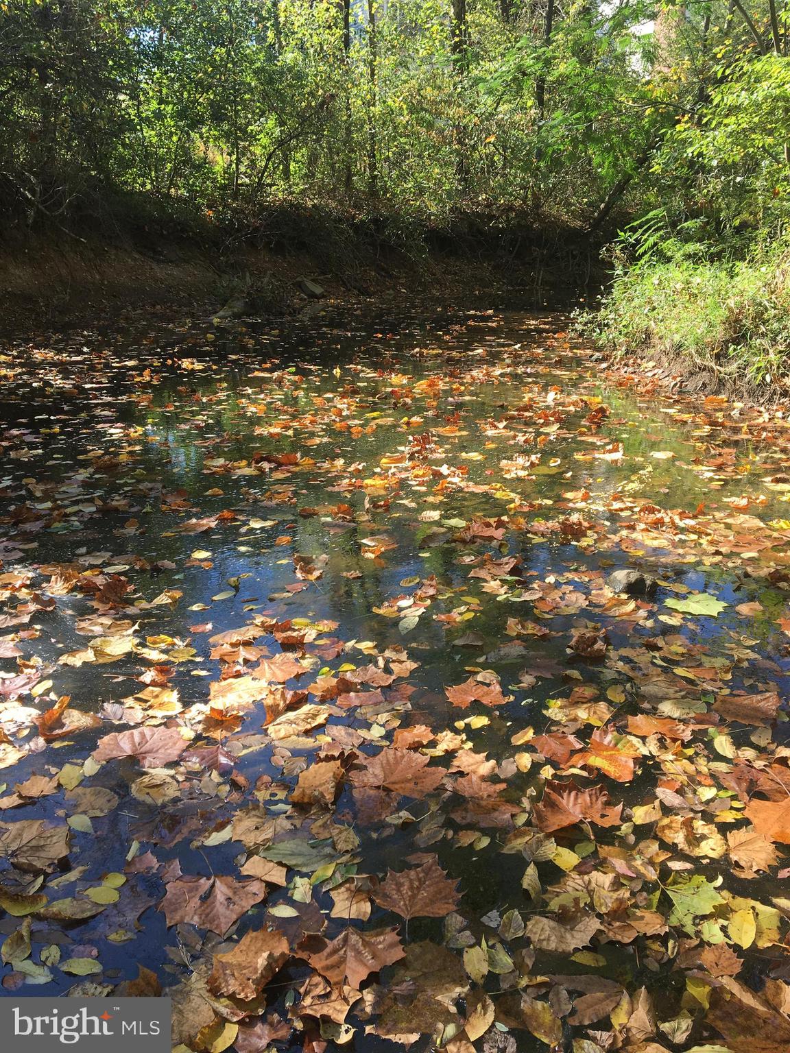 DRANESVILLE ESTATES - Residential