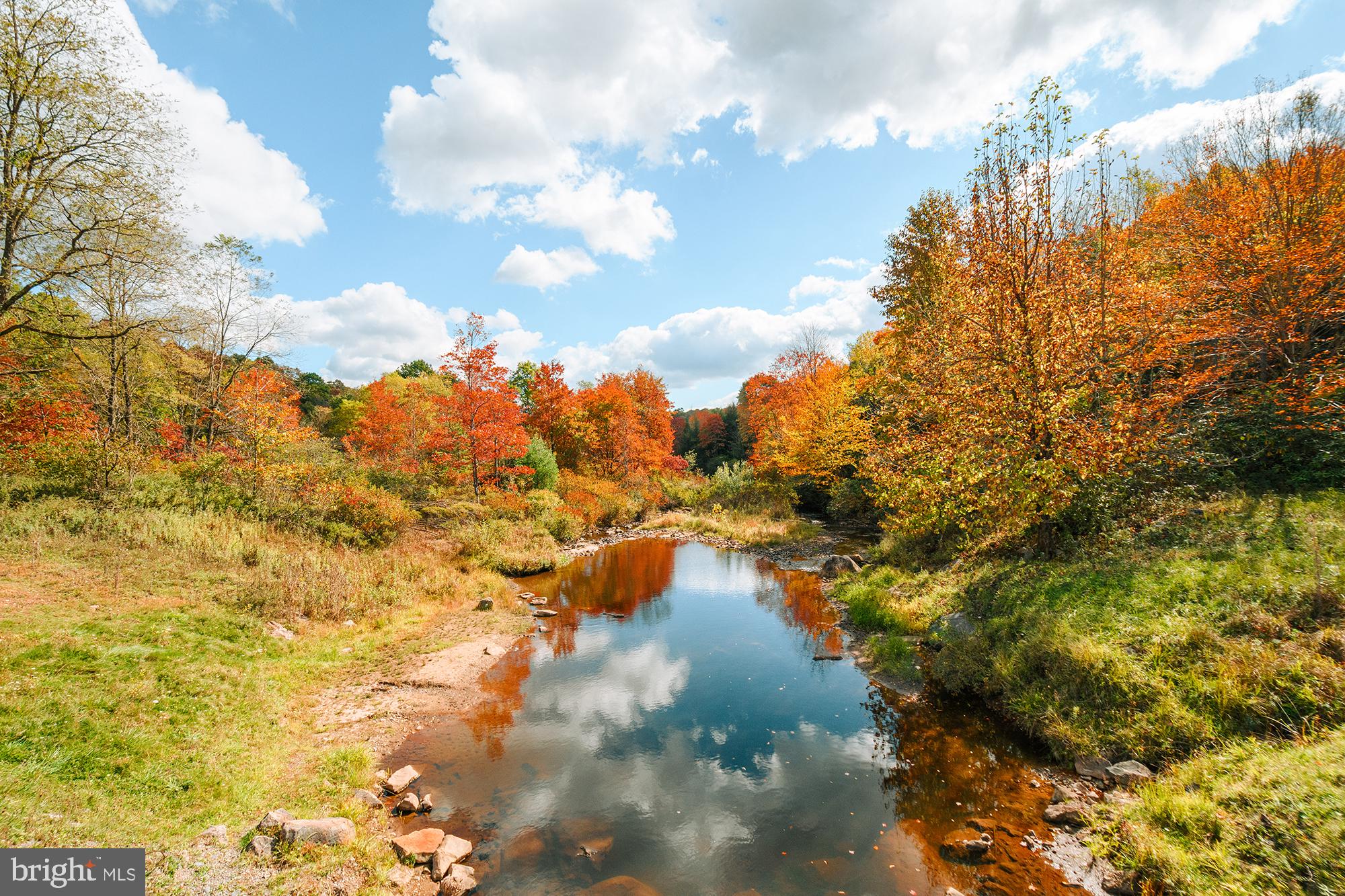 YOUGHIOUGHENY MOUNTAIN - Land
