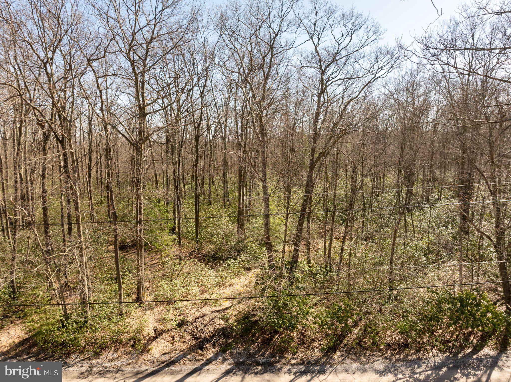 YOUGHIOUGHENY MOUNTAIN - Land