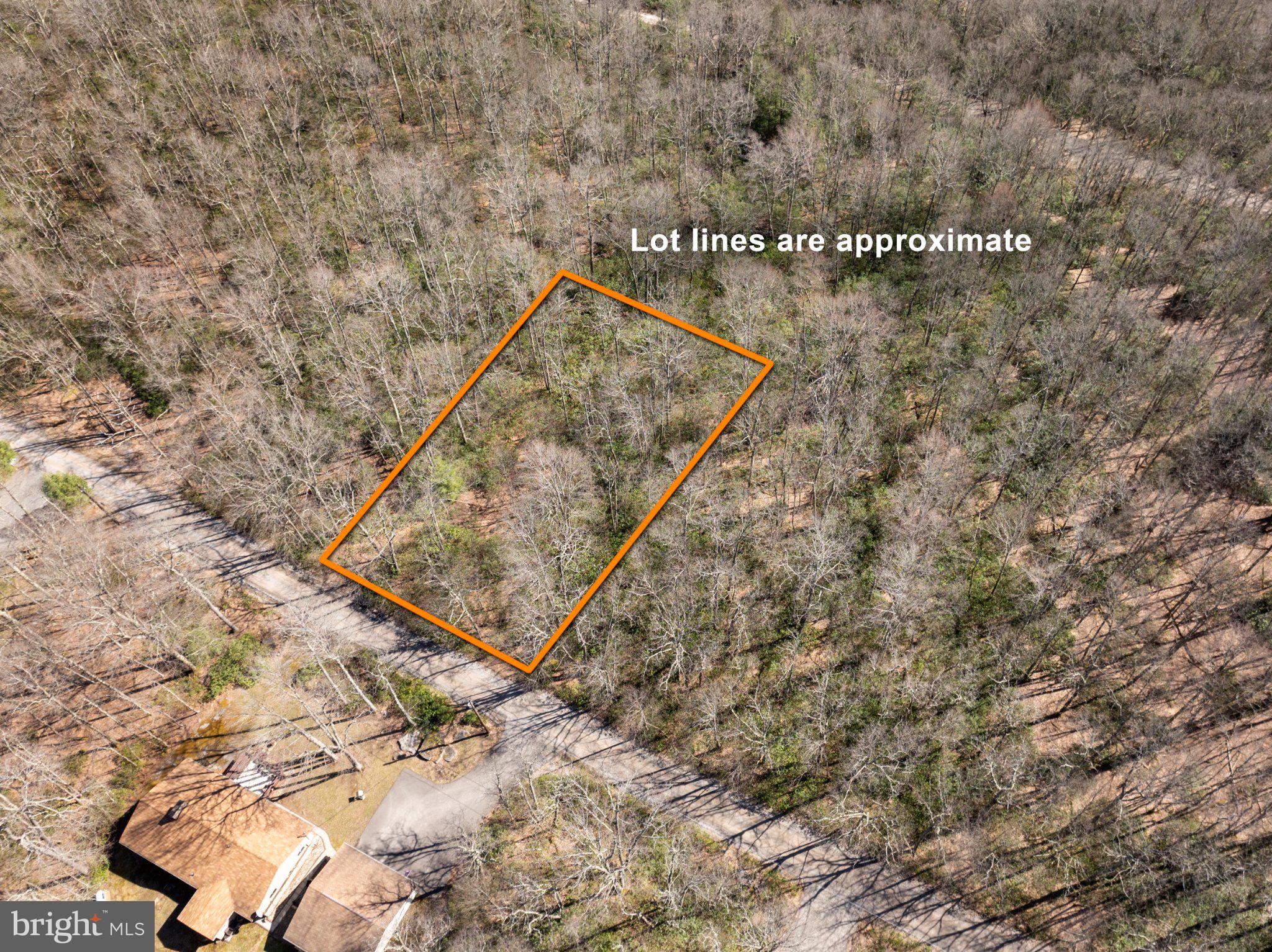 YOUGHIOUGHENY MOUNTAIN - Land