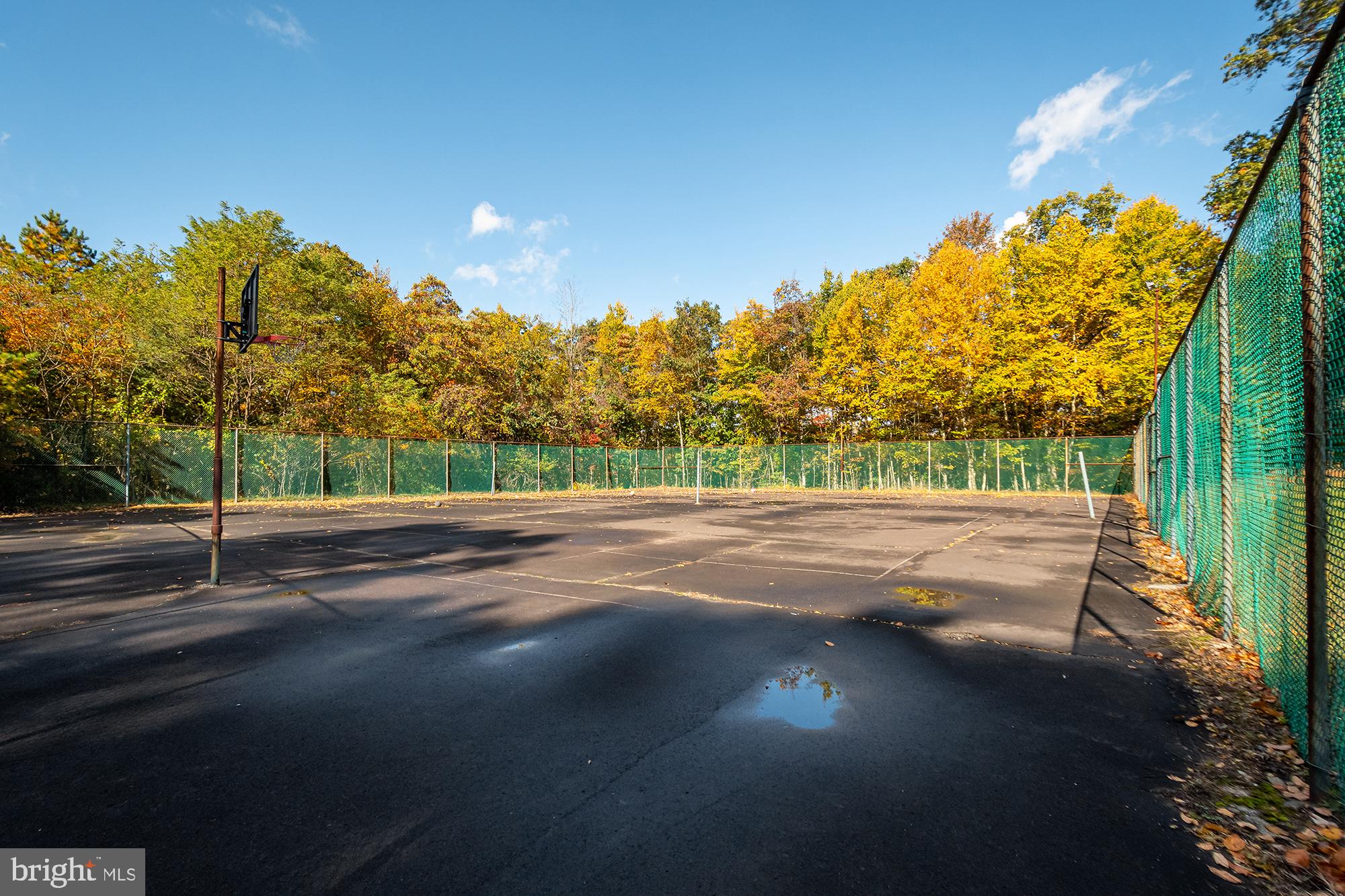 YOUGHIOUGHENY MOUNTAIN - Land