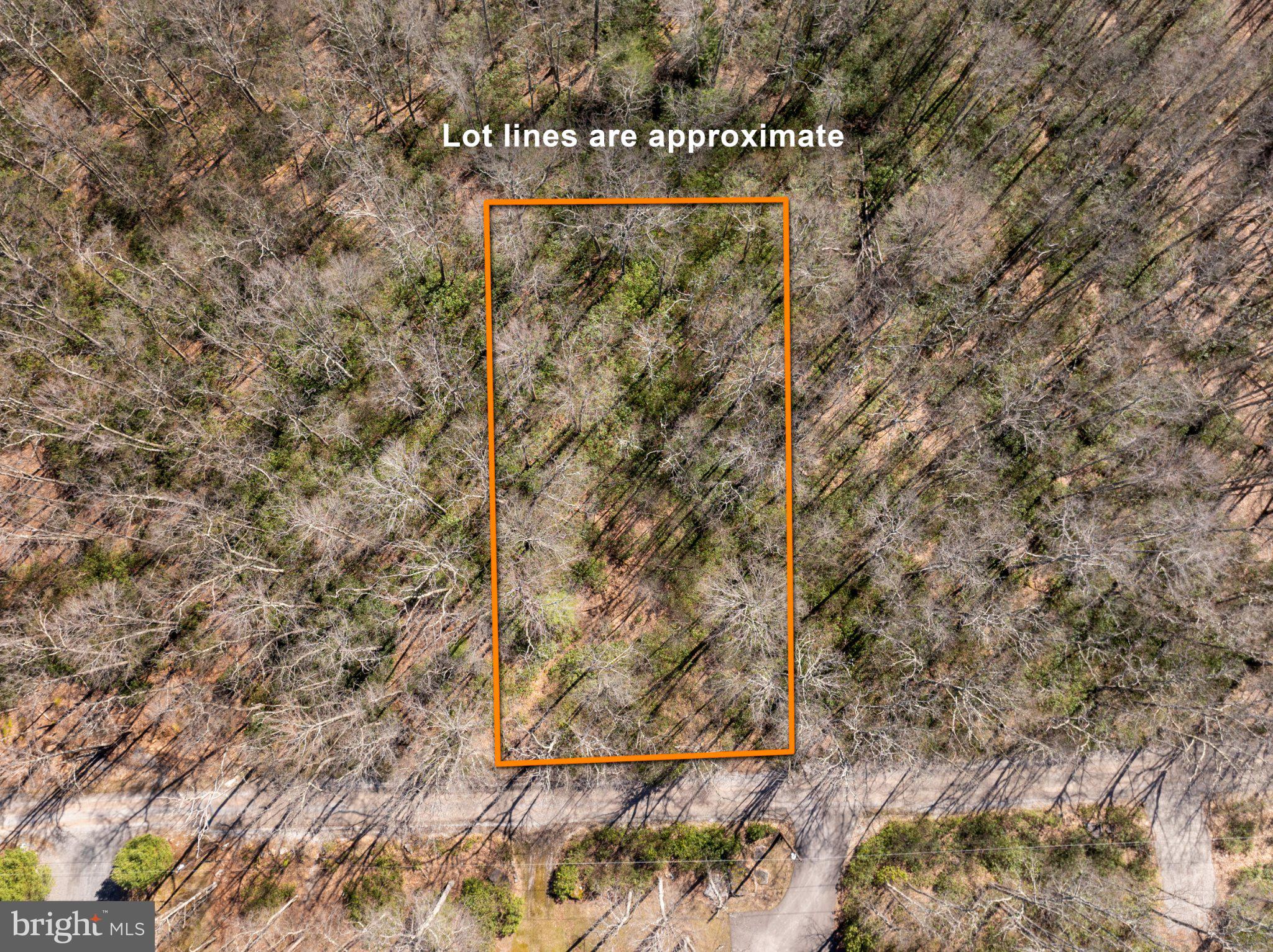 YOUGHIOUGHENY MOUNTAIN - Land