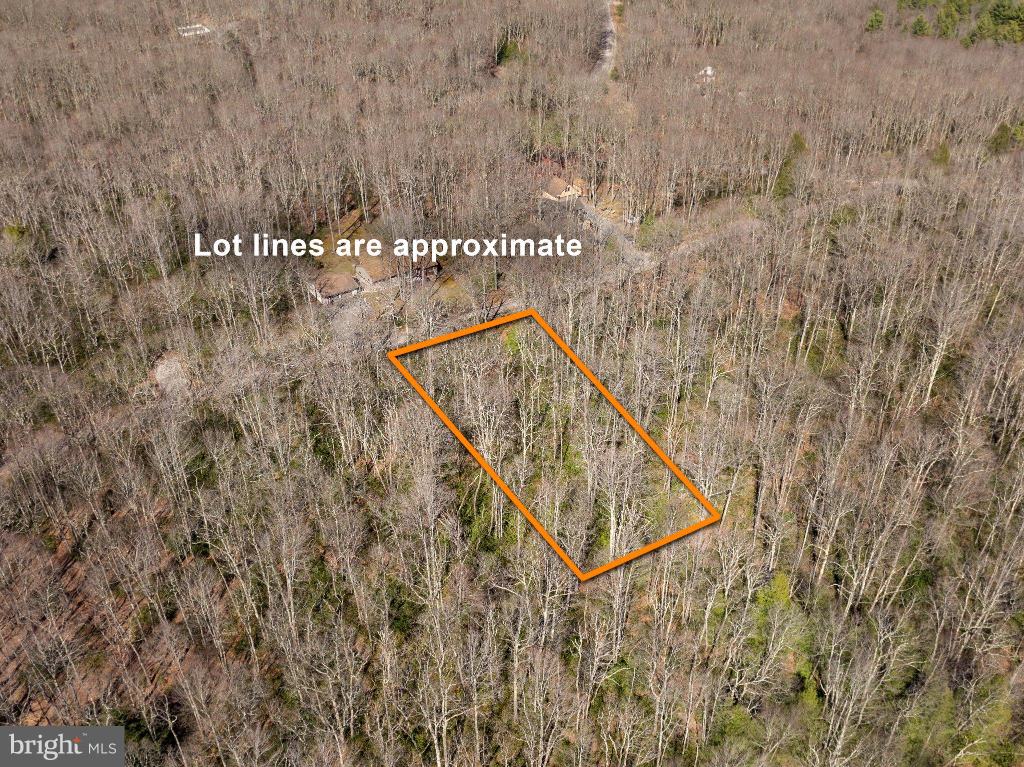 YOUGHIOUGHENY MOUNTAIN - Land