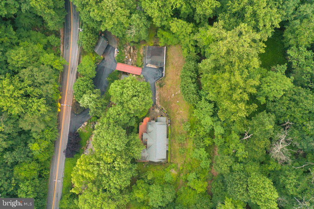 2407 CUB HILL