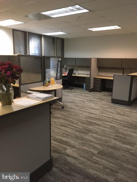 REIDS PROSPECT - Commercial Sale