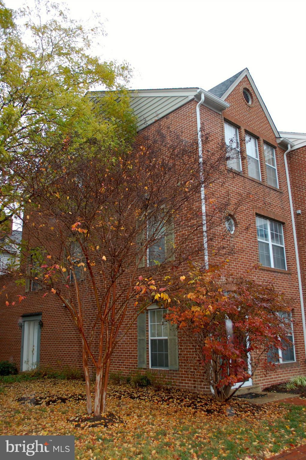 BRADDOCK PLACE - Residential