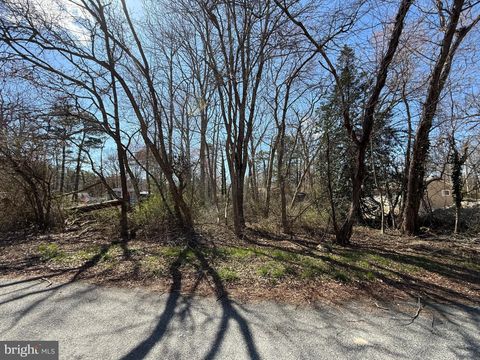 Vacant Land For Sale - 7364 William Avenue<br/> Cumberland County, MILLVILLE, NJ 08332