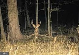 Vacant Land For Sale - Patuxent River<br/> Anne Arundel County, LAUREL, MD 20724