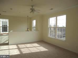 43920 HICKORY CORNER TERRACE 111