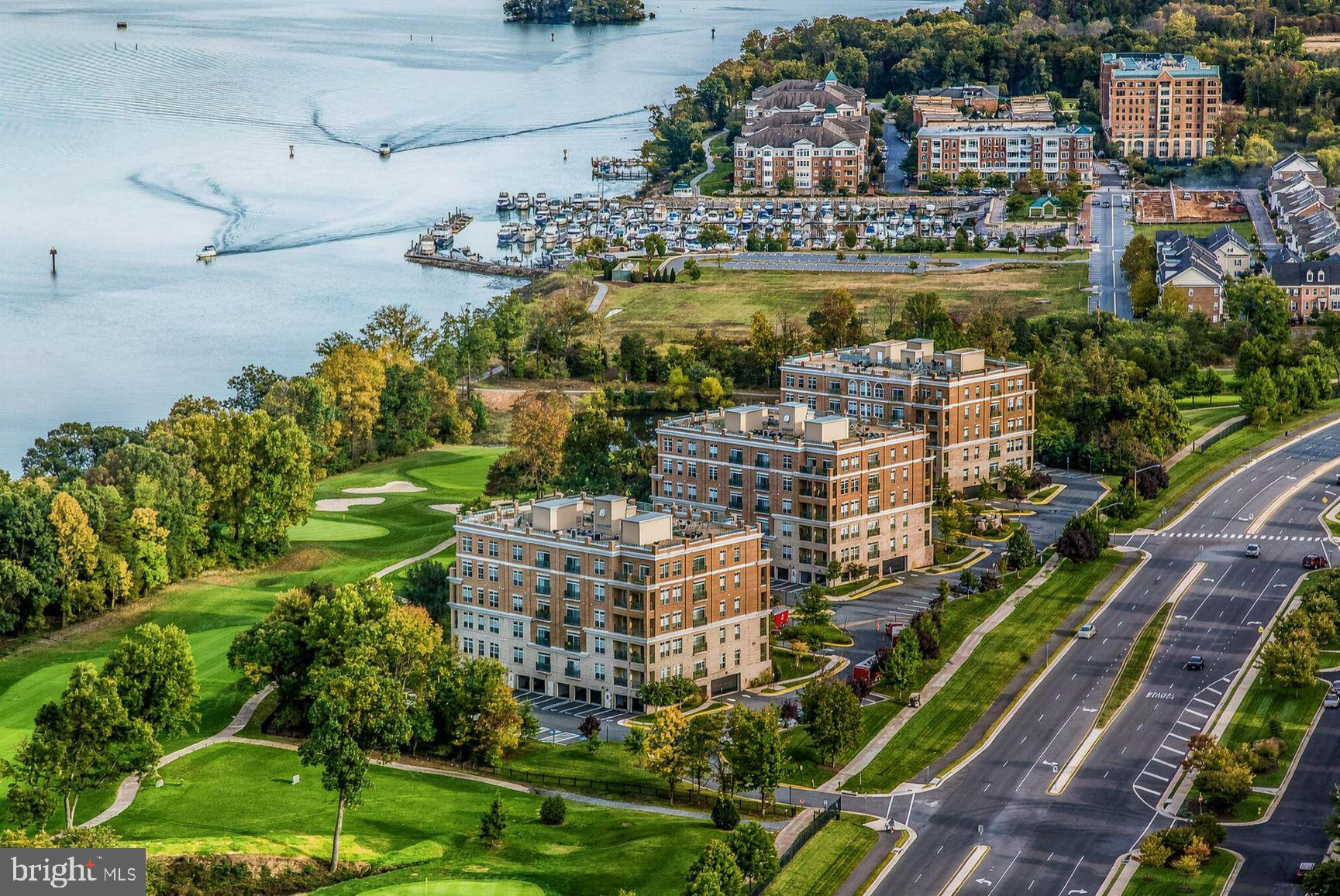 810 BELMONT BAY DRIVE 501