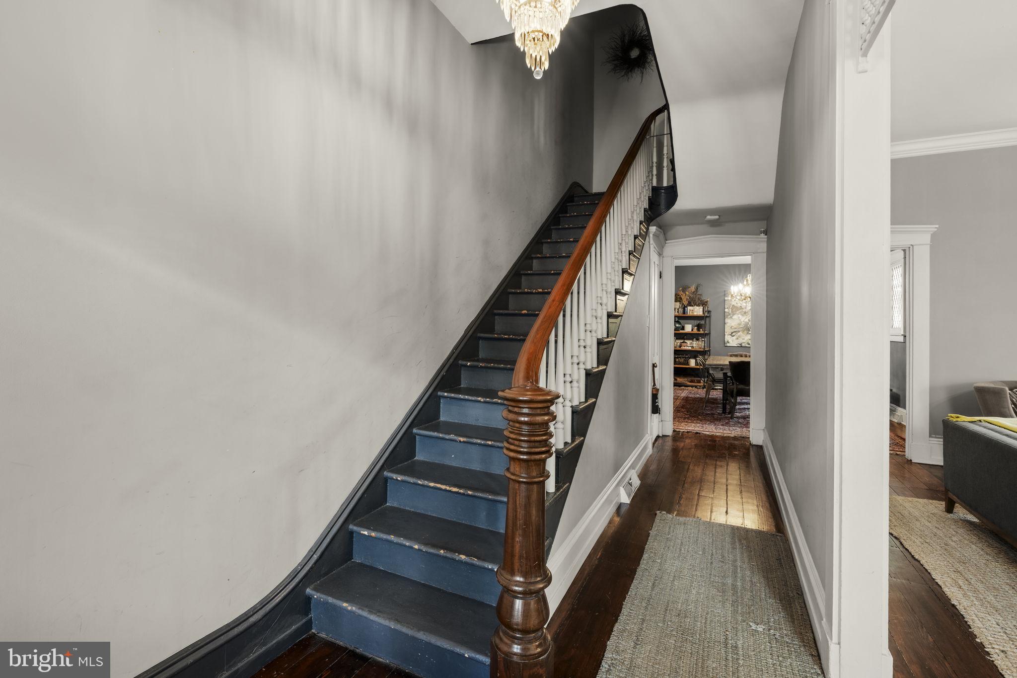CHESTNUT HILL - Residential