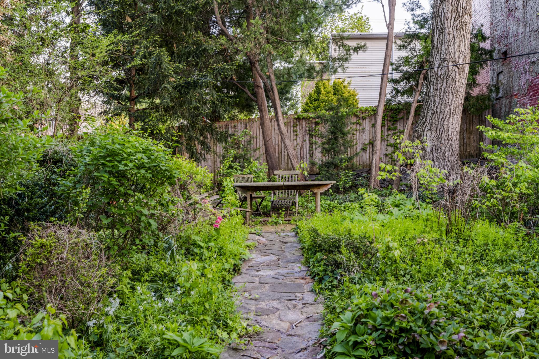 CHESTNUT HILL - Residential