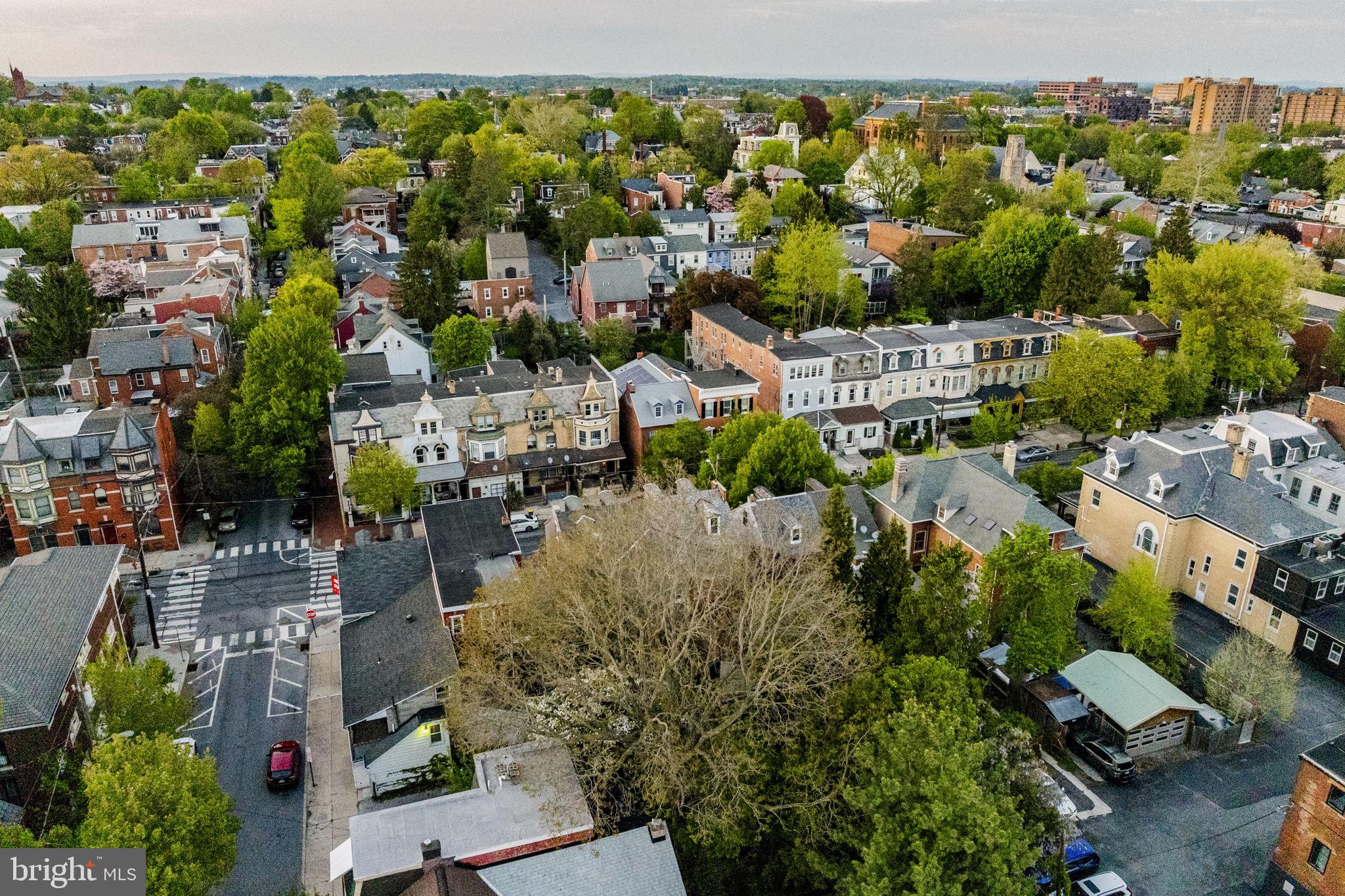CHESTNUT HILL - Residential