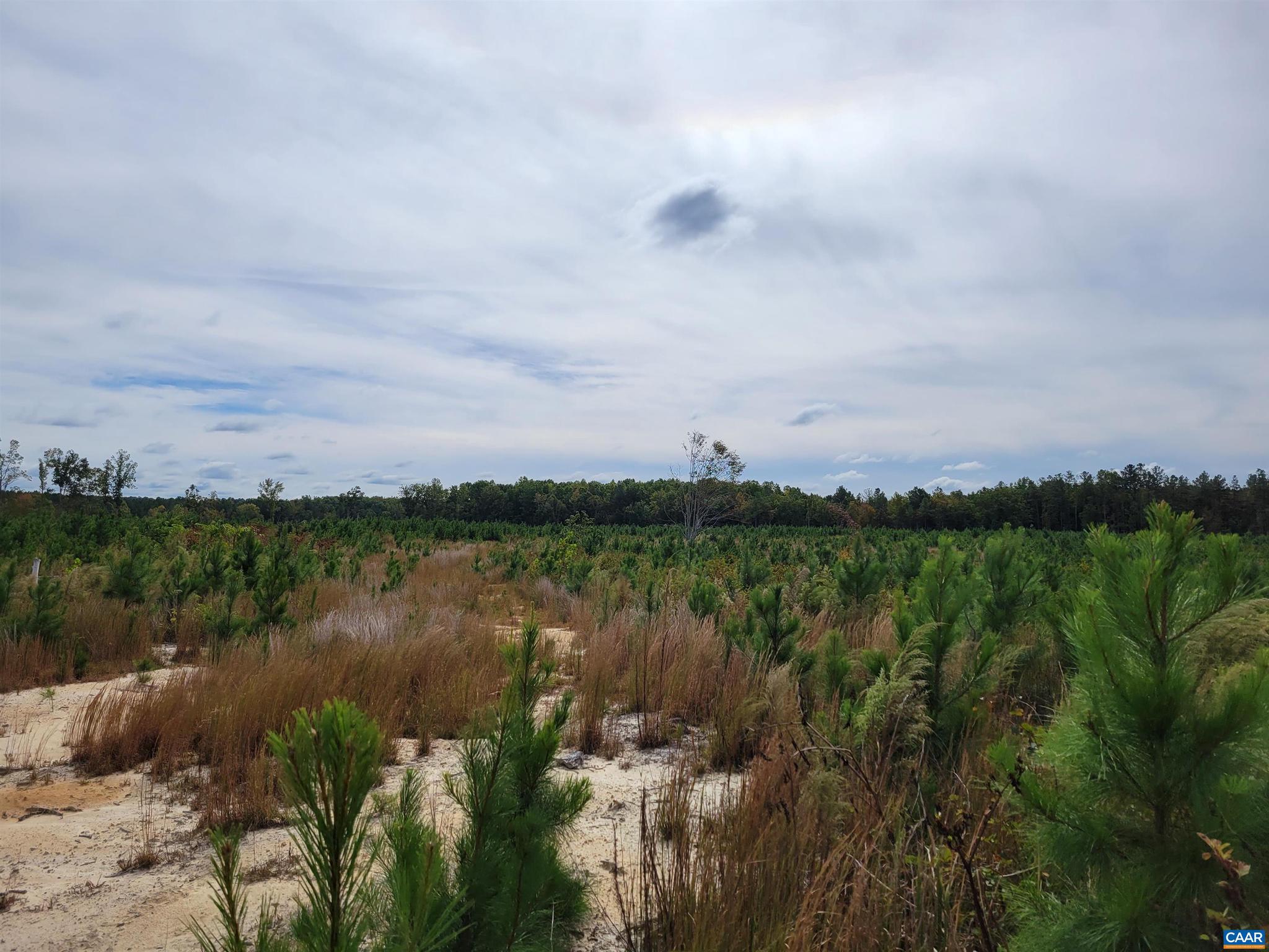 NONE AVAILABLE - Land