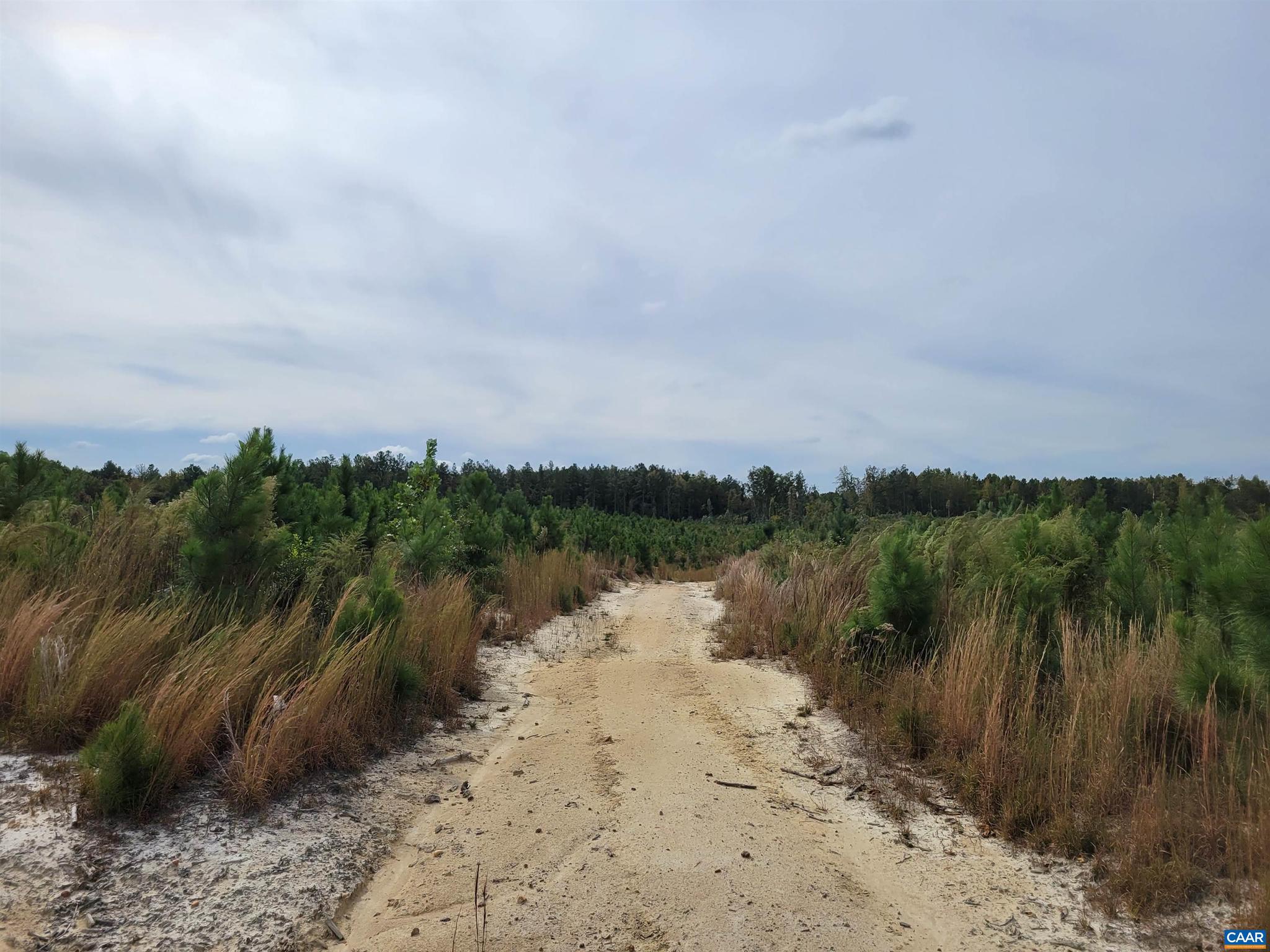 NONE AVAILABLE - Land