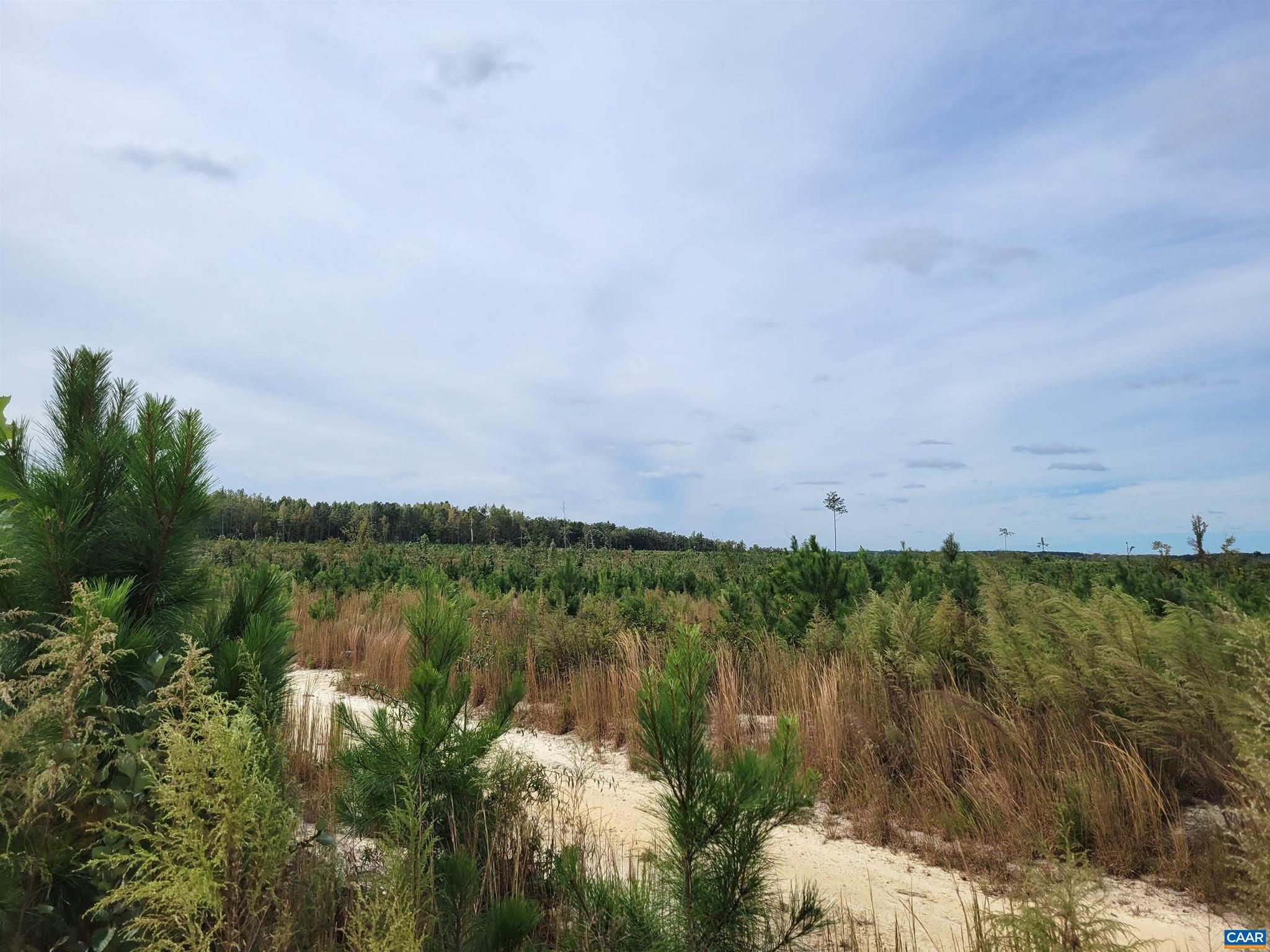 NONE AVAILABLE - Land