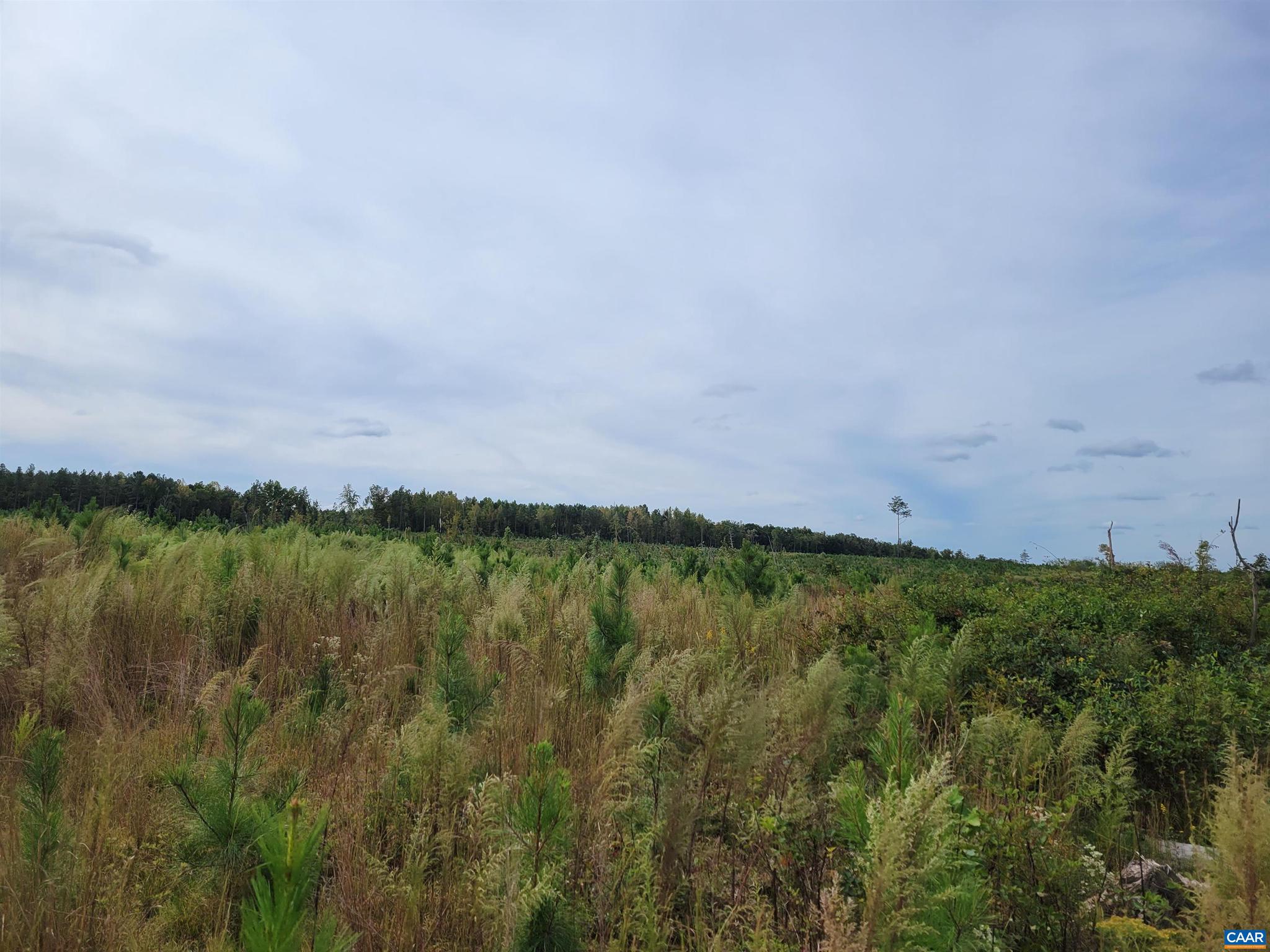 NONE AVAILABLE - Land