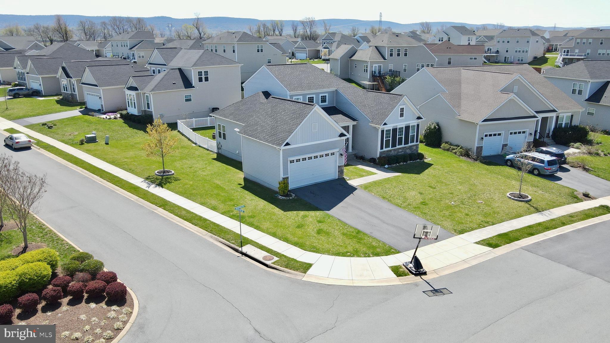 NORBORNE GLEBE - Residential