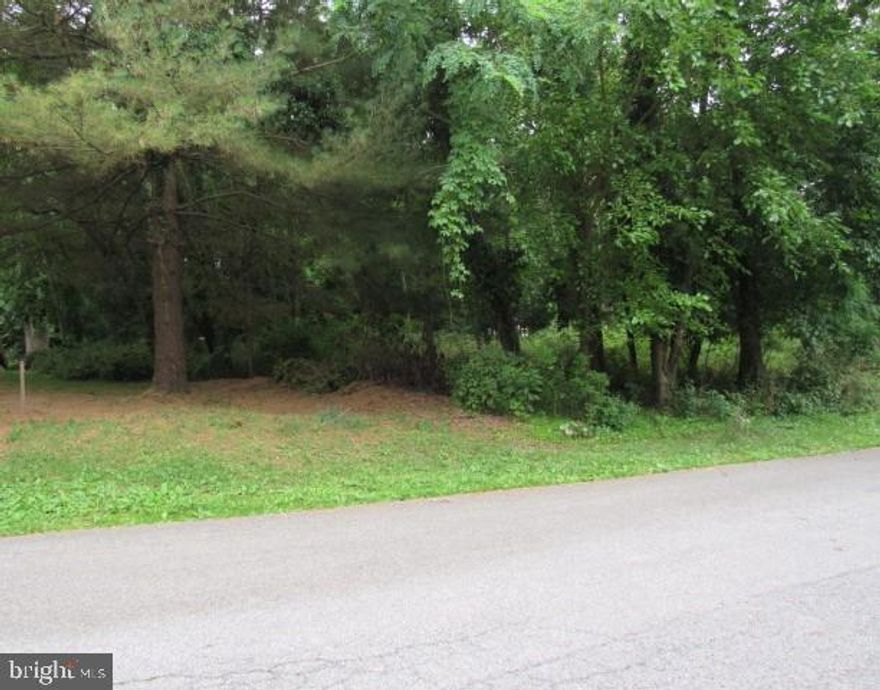 .29 +/- acres of prime land on Fillmore Street, Harpers Ferry.  Close to post office. walking distance to Historical Downtown Harpers Ferry.  Public water and sewer hook up available.  All taxes are estimated.