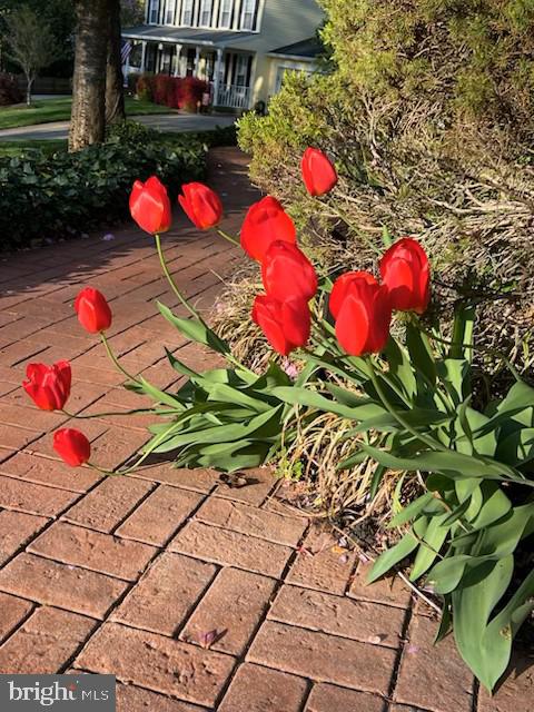 MONTCLAIR - Residential