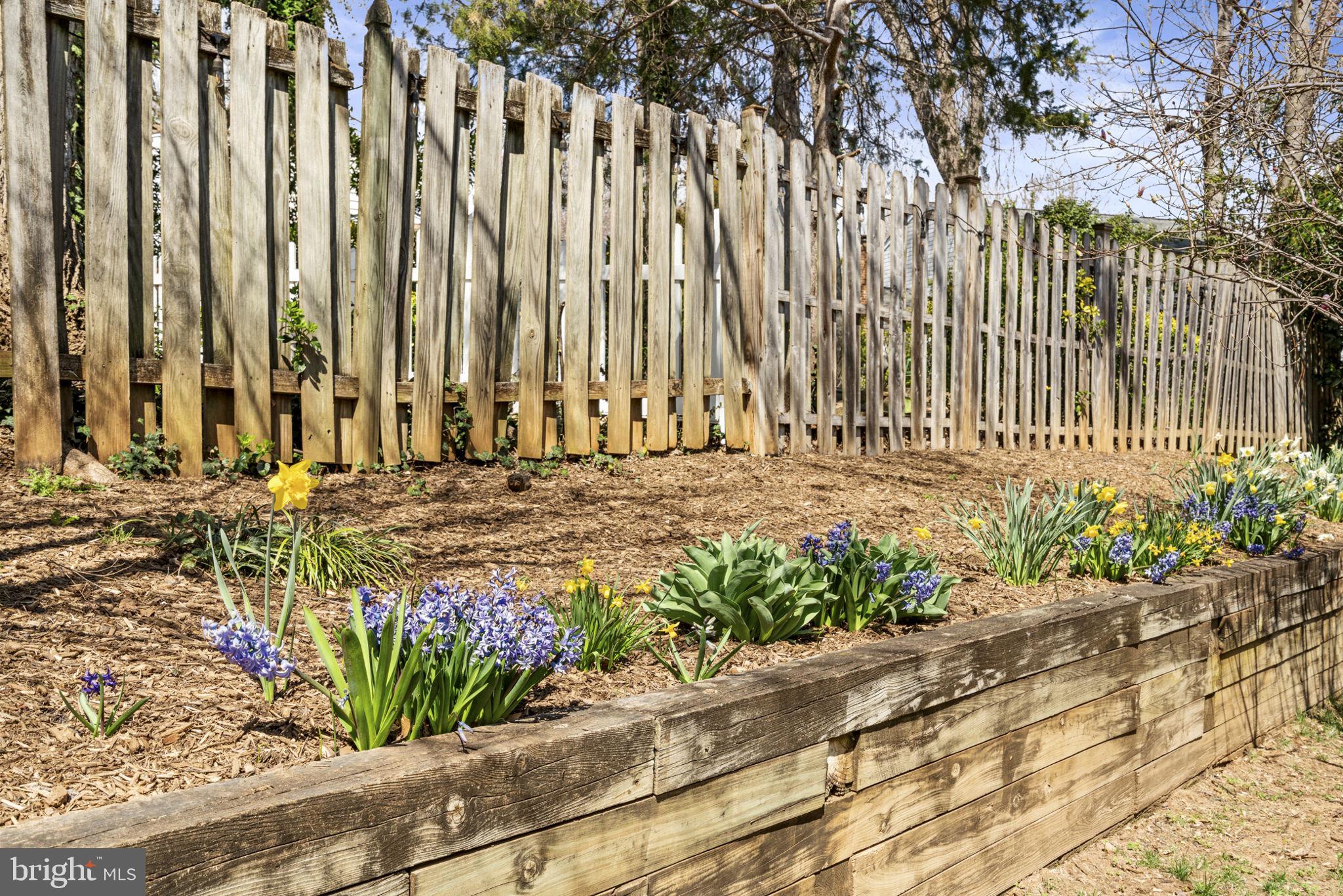 MONTCLAIR - Residential